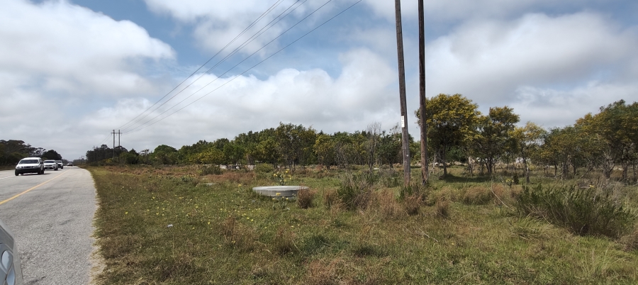 0 Bedroom Property for Sale in Greenbushes Eastern Cape